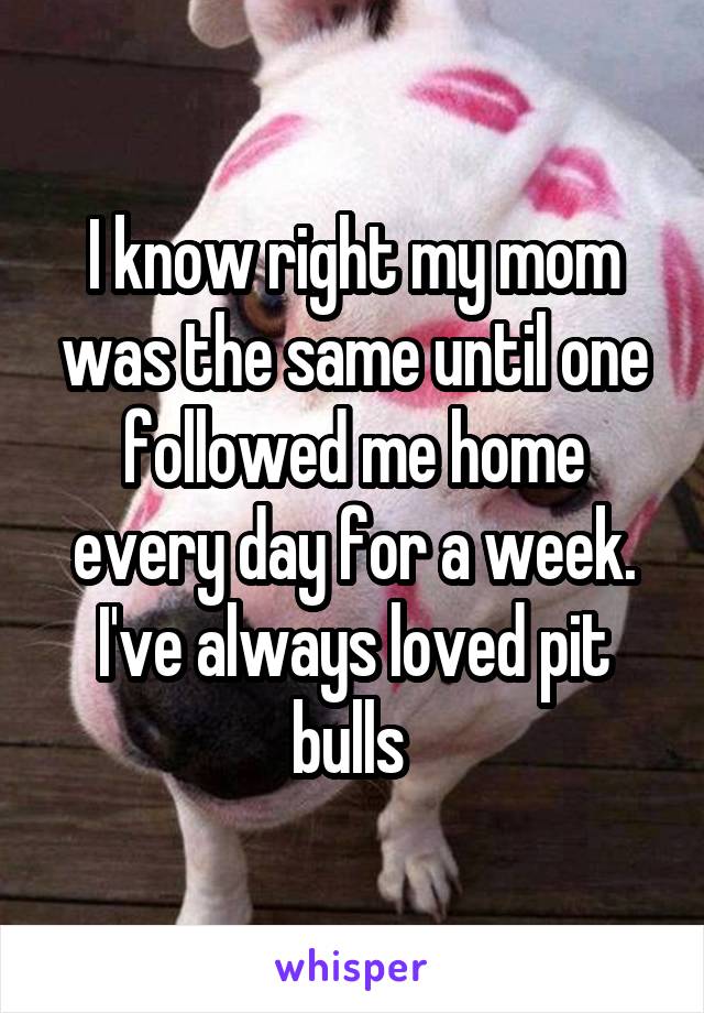 I know right my mom was the same until one followed me home every day for a week. I've always loved pit bulls 