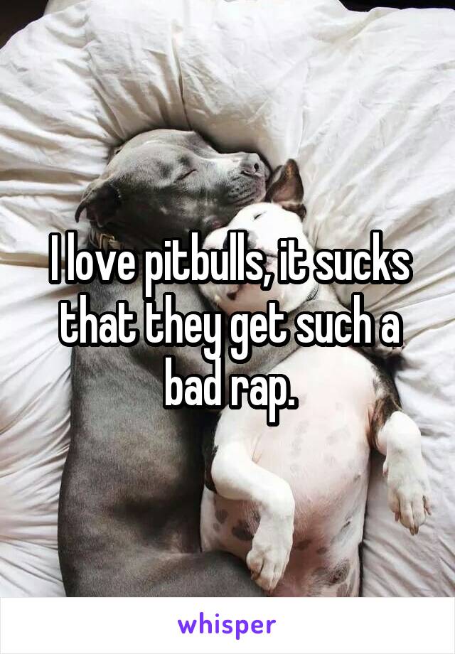 I love pitbulls, it sucks that they get such a bad rap.