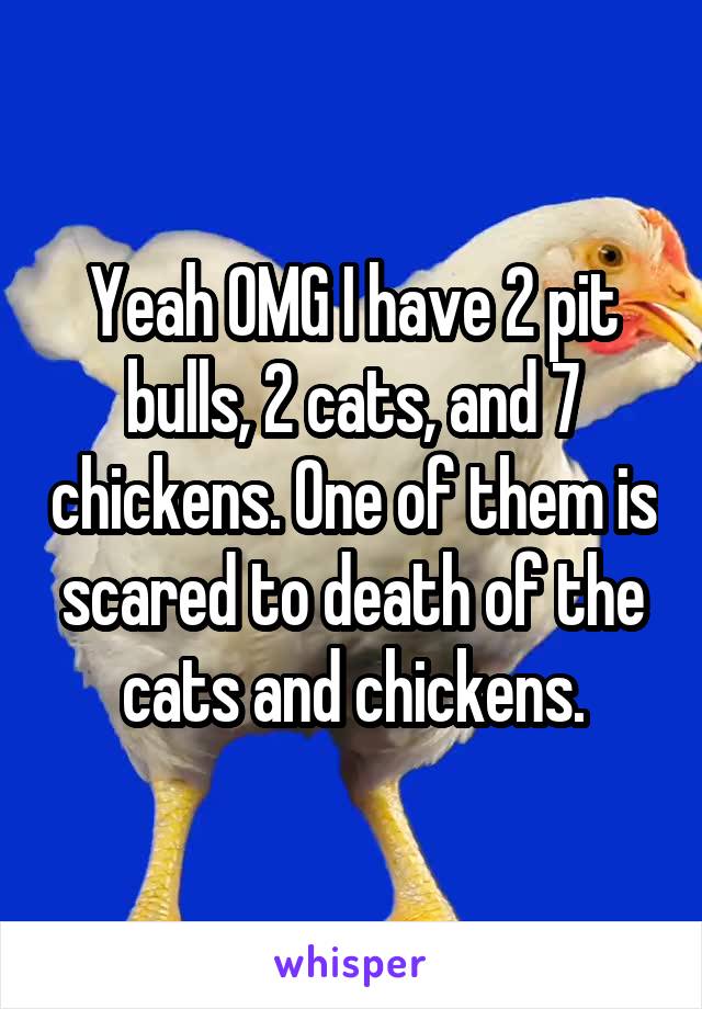 Yeah OMG I have 2 pit bulls, 2 cats, and 7 chickens. One of them is scared to death of the cats and chickens.