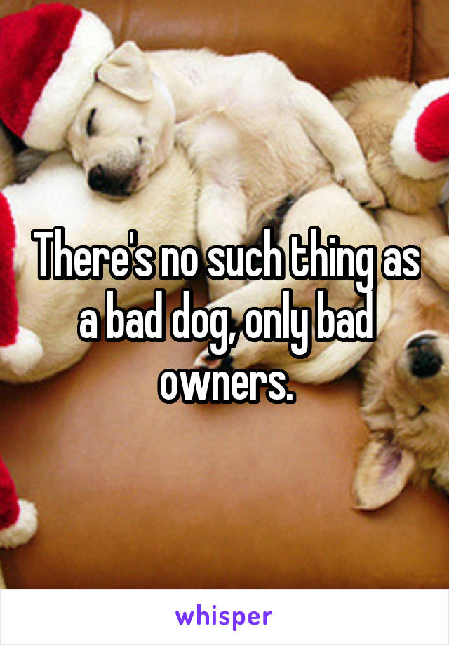 There's no such thing as a bad dog, only bad owners.