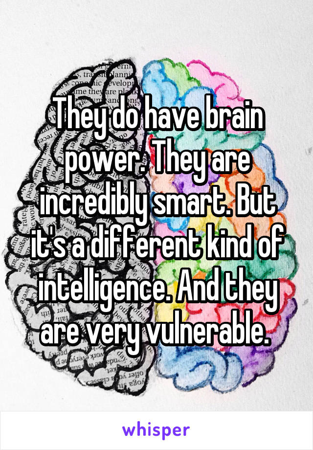 They do have brain power. They are incredibly smart. But it's a different kind of intelligence. And they are very vulnerable. 