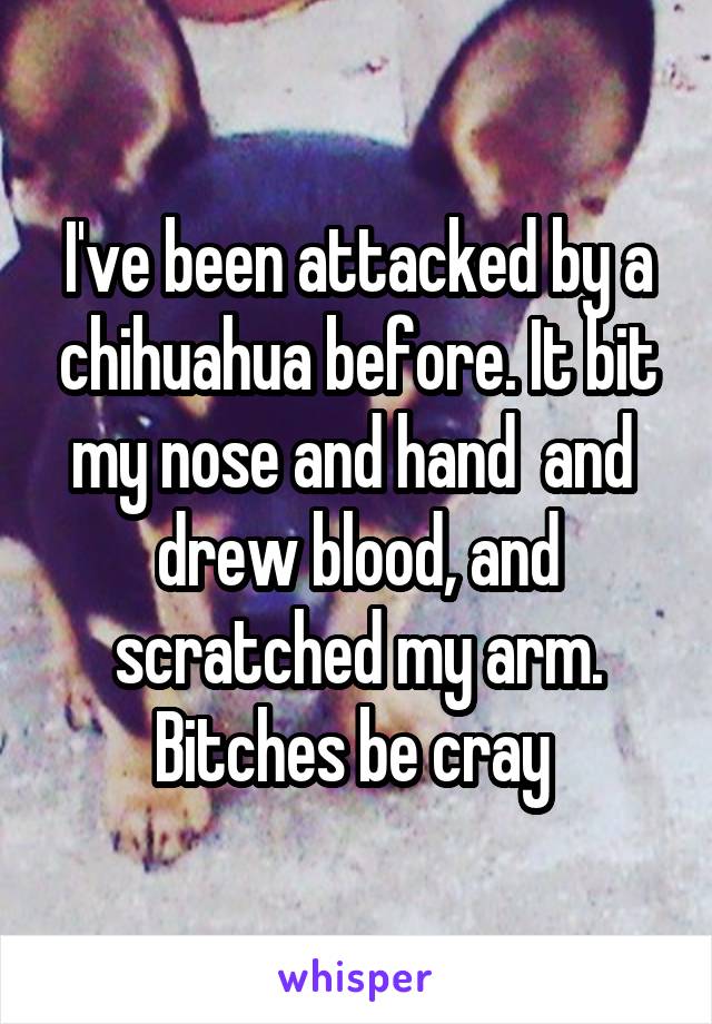 I've been attacked by a chihuahua before. It bit my nose and hand  and  drew blood, and scratched my arm. Bitches be cray 