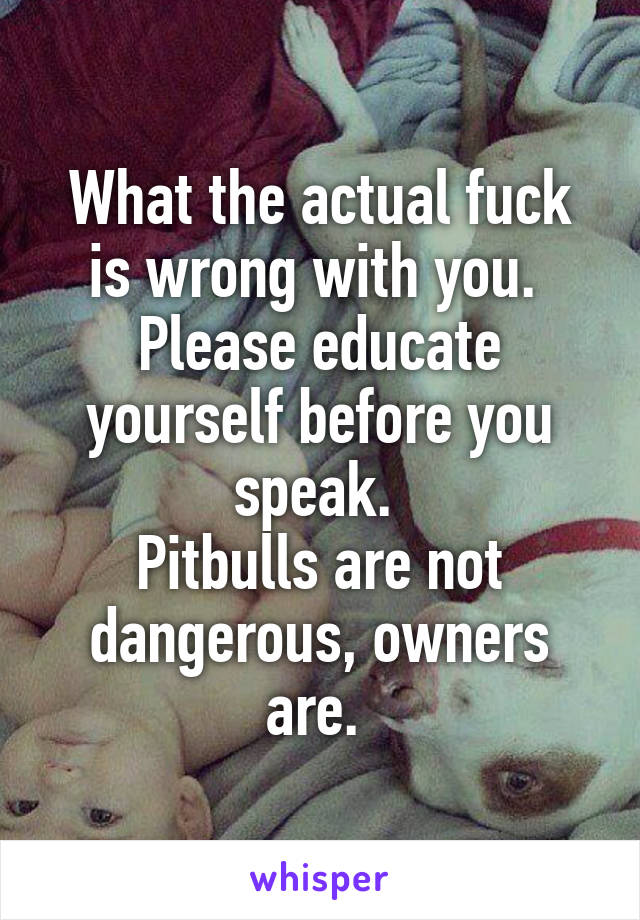 What the actual fuck is wrong with you. 
Please educate yourself before you speak. 
Pitbulls are not dangerous, owners are. 
