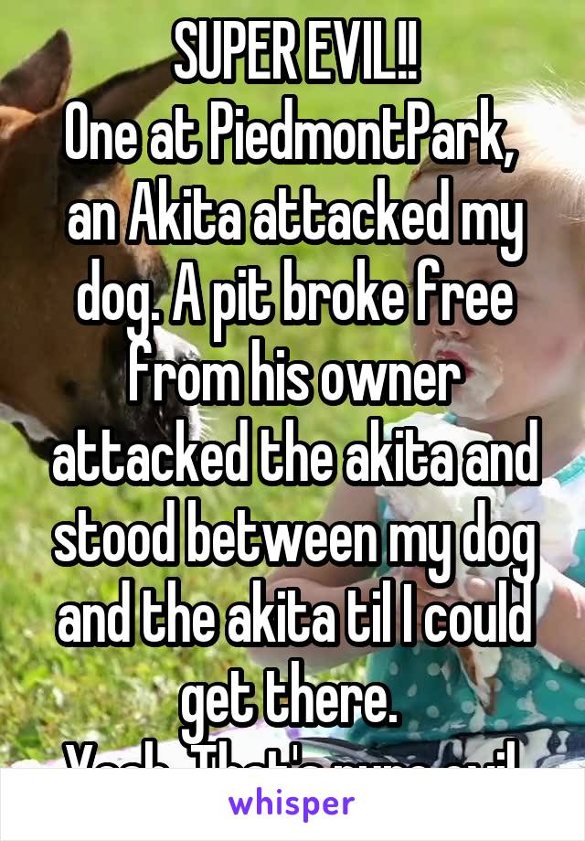 SUPER EVIL!!
One at PiedmontPark,  an Akita attacked my dog. A pit broke free from his owner attacked the akita and stood between my dog and the akita til I could get there. 
Yeah. That's pure evil.