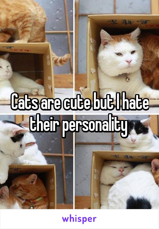 Cats are cute but I hate their personality 