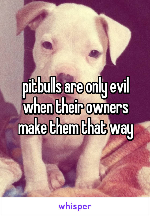 pitbulls are only evil when their owners make them that way