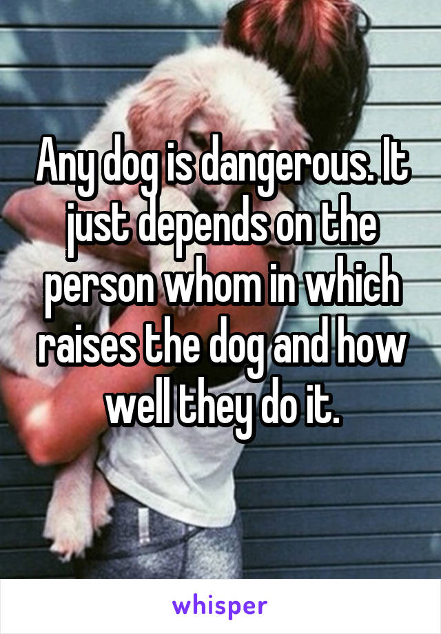 Any dog is dangerous. It just depends on the person whom in which raises the dog and how well they do it.
