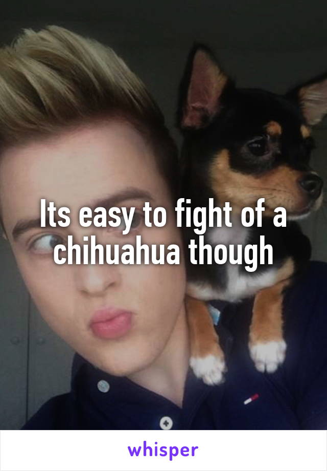Its easy to fight of a chihuahua though