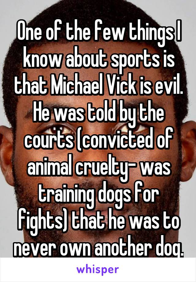 One of the few things I know about sports is that Michael Vick is evil. He was told by the courts (convicted of animal cruelty- was training dogs for fights) that he was to never own another dog.