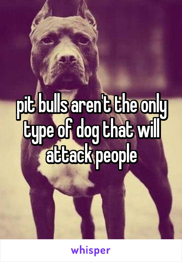 pit bulls aren't the only type of dog that will attack people