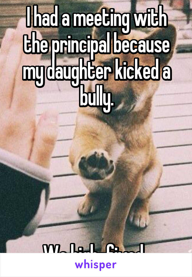 I had a meeting with the principal because my daughter kicked a bully.





We high-fived. 