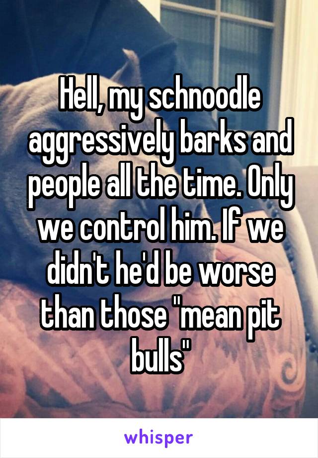Hell, my schnoodle aggressively barks and people all the time. Only we control him. If we didn't he'd be worse than those "mean pit bulls"