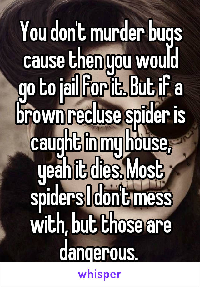 You don't murder bugs cause then you would go to jail for it. But if a brown recluse spider is caught in my house, yeah it dies. Most spiders I don't mess with, but those are dangerous. 