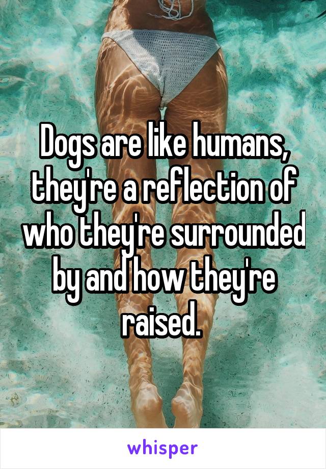 Dogs are like humans, they're a reflection of who they're surrounded by and how they're raised. 