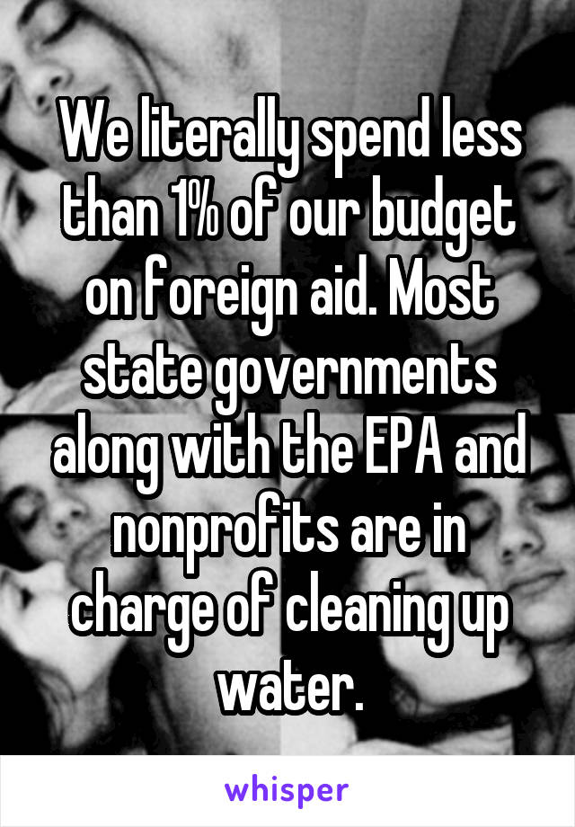 We literally spend less than 1% of our budget on foreign aid. Most state governments along with the EPA and nonprofits are in charge of cleaning up water.