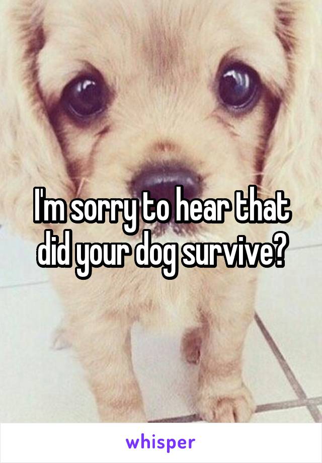 I'm sorry to hear that did your dog survive?