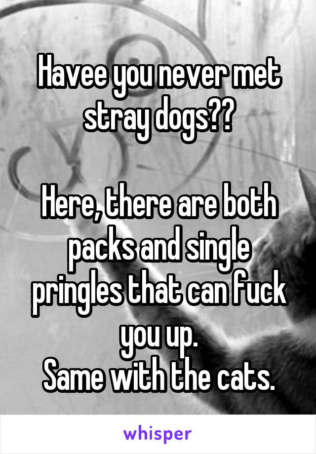 Havee you never met stray dogs??

Here, there are both packs and single pringles that can fuck you up.
Same with the cats.