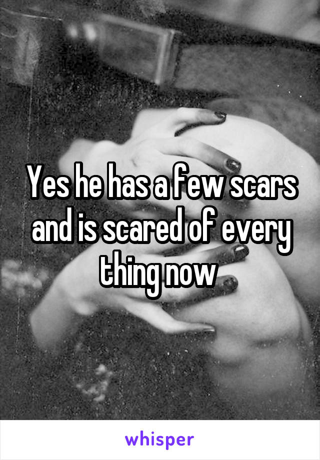 Yes he has a few scars and is scared of every thing now 