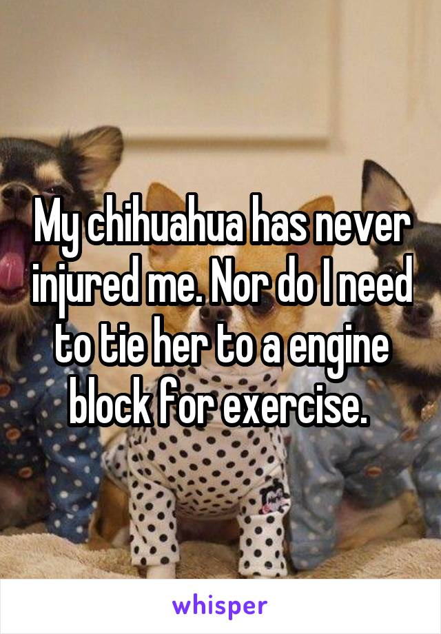 My chihuahua has never injured me. Nor do I need to tie her to a engine block for exercise. 