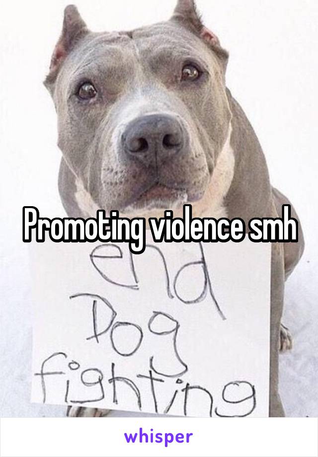 Promoting violence smh