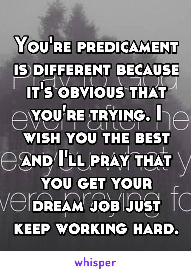 You're predicament is different because it's obvious that you're trying. I wish you the best and I'll pray that you get your dream job just keep working hard.