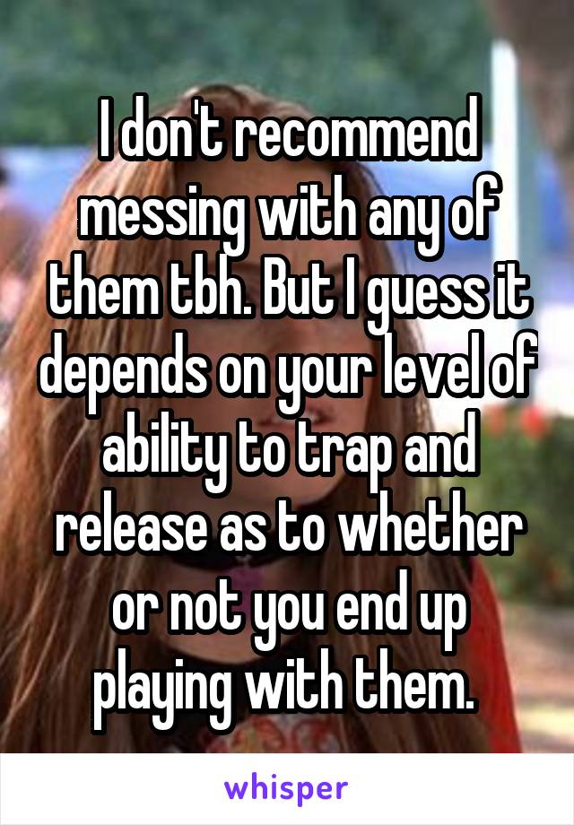 I don't recommend messing with any of them tbh. But I guess it depends on your level of ability to trap and release as to whether or not you end up playing with them. 