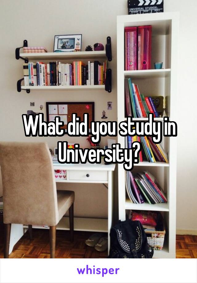 What did you study in University?