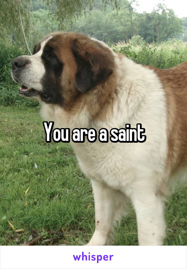 You are a saint