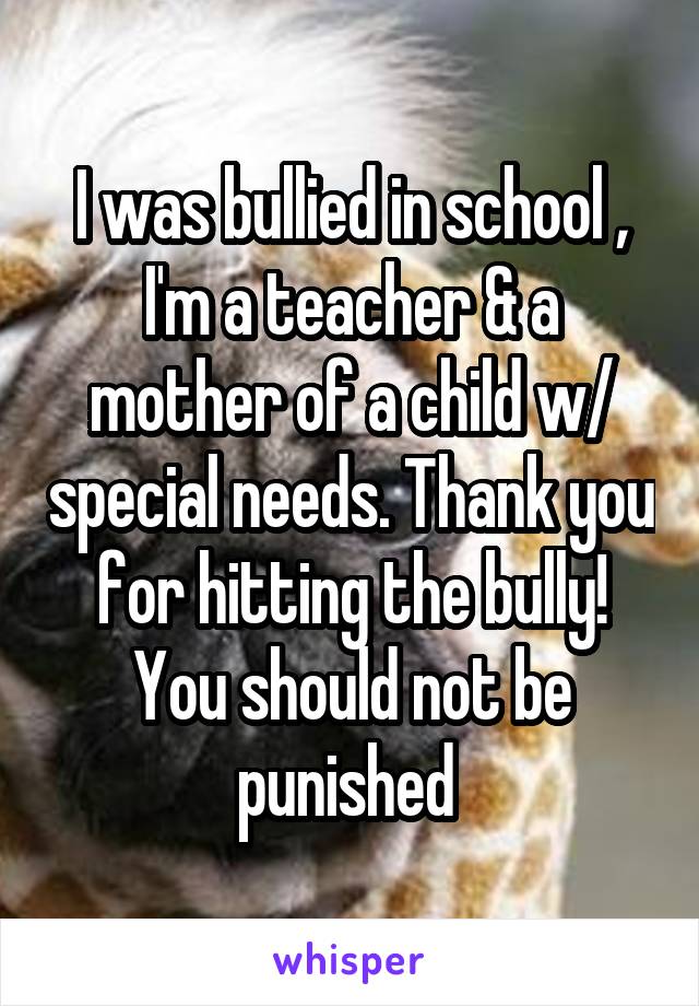 I was bullied in school , I'm a teacher & a mother of a child w/ special needs. Thank you for hitting the bully! You should not be punished 