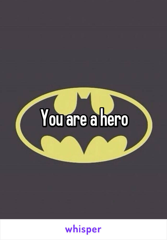 You are a hero