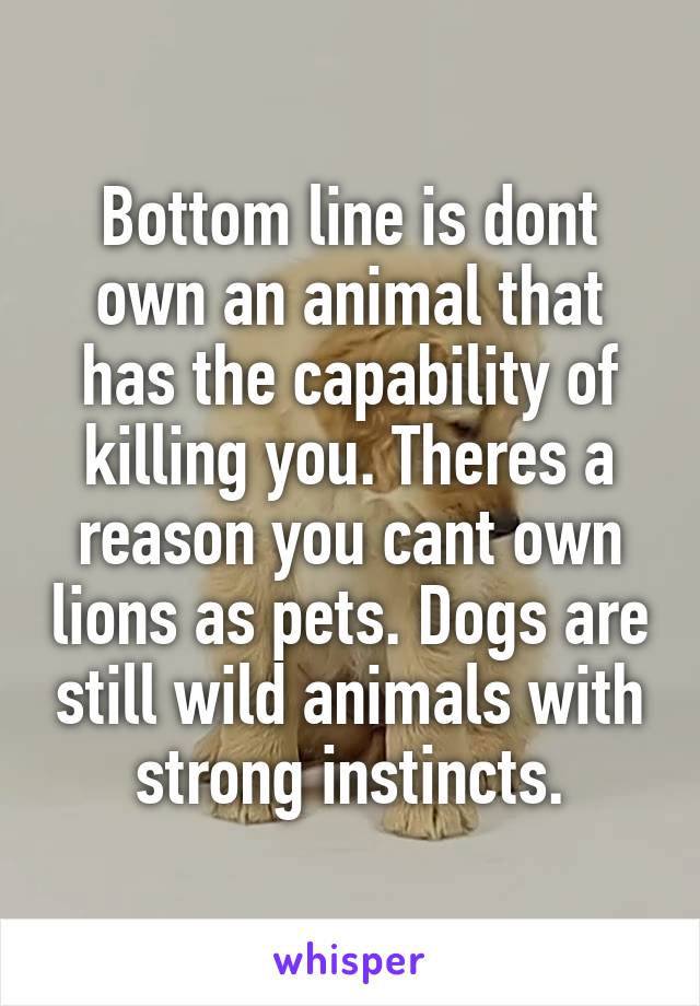 Bottom line is dont own an animal that has the capability of killing you. Theres a reason you cant own lions as pets. Dogs are still wild animals with strong instincts.