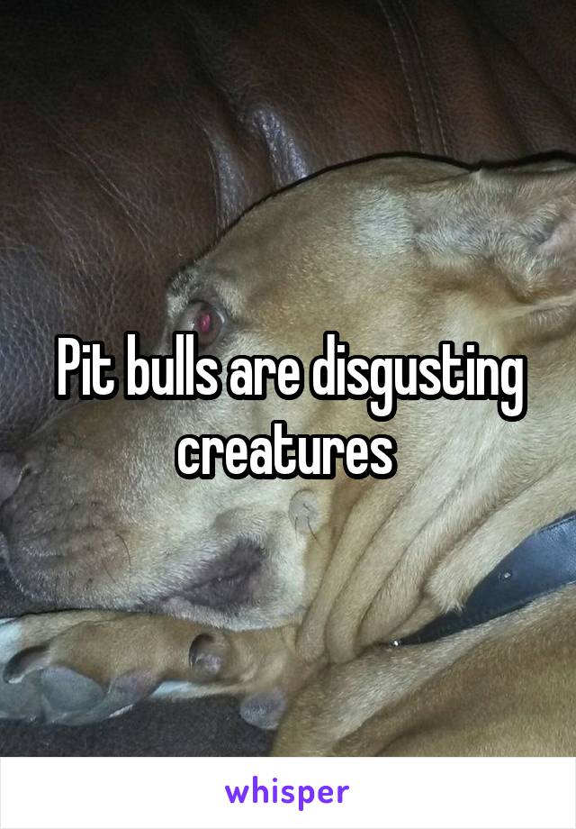 Pit bulls are disgusting creatures 