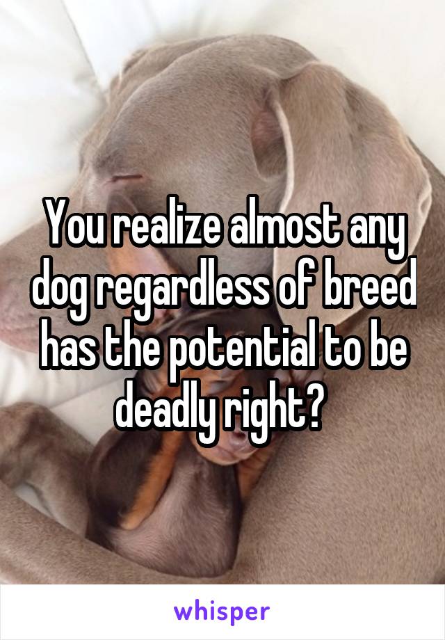 You realize almost any dog regardless of breed has the potential to be deadly right? 