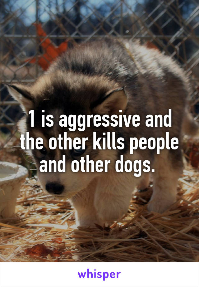 1 is aggressive and the other kills people and other dogs. 