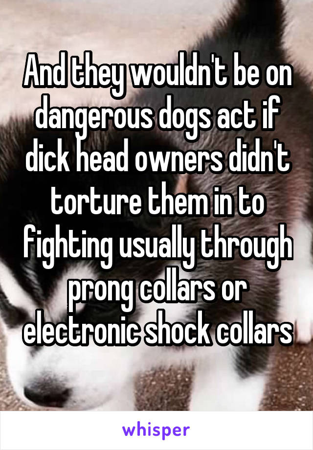 And they wouldn't be on dangerous dogs act if dick head owners didn't torture them in to fighting usually through prong collars or electronic shock collars 