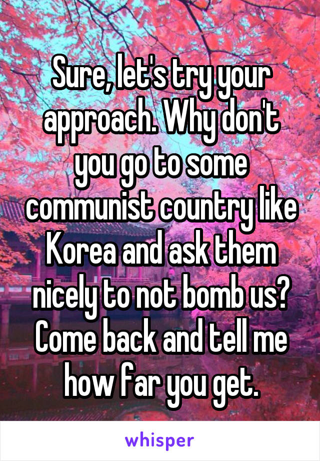 Sure, let's try your approach. Why don't you go to some communist country like Korea and ask them nicely to not bomb us? Come back and tell me how far you get.