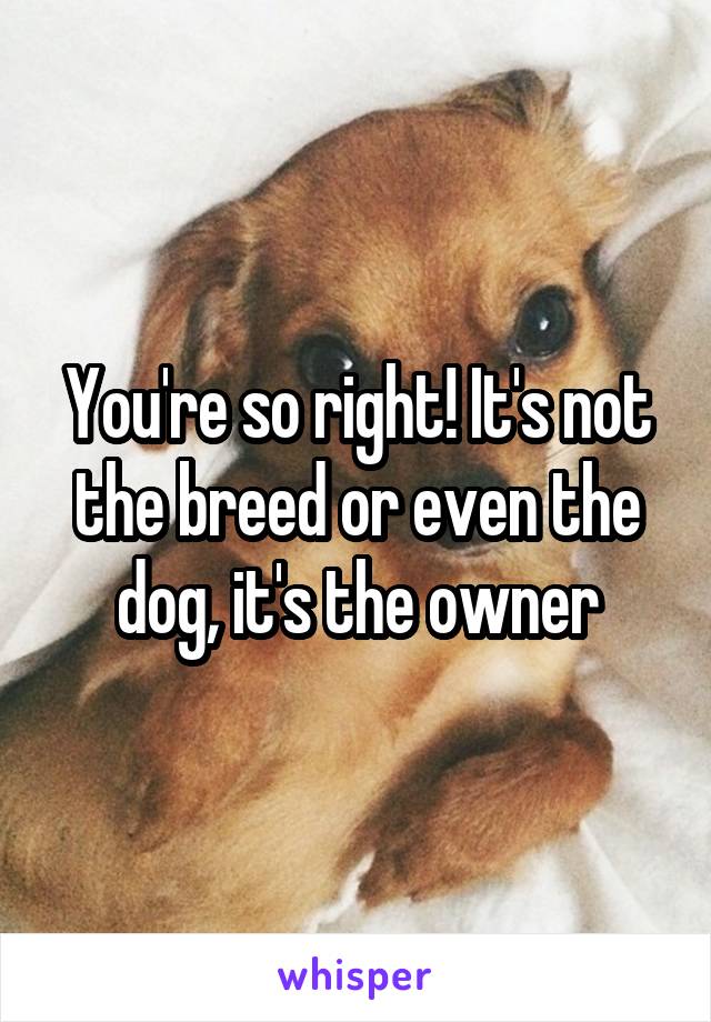 You're so right! It's not the breed or even the dog, it's the owner