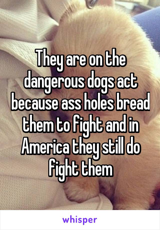 They are on the dangerous dogs act because ass holes bread them to fight and in America they still do fight them