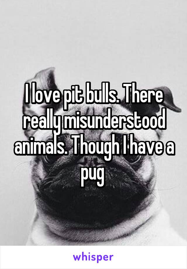 I love pit bulls. There really misunderstood animals. Though I have a pug 