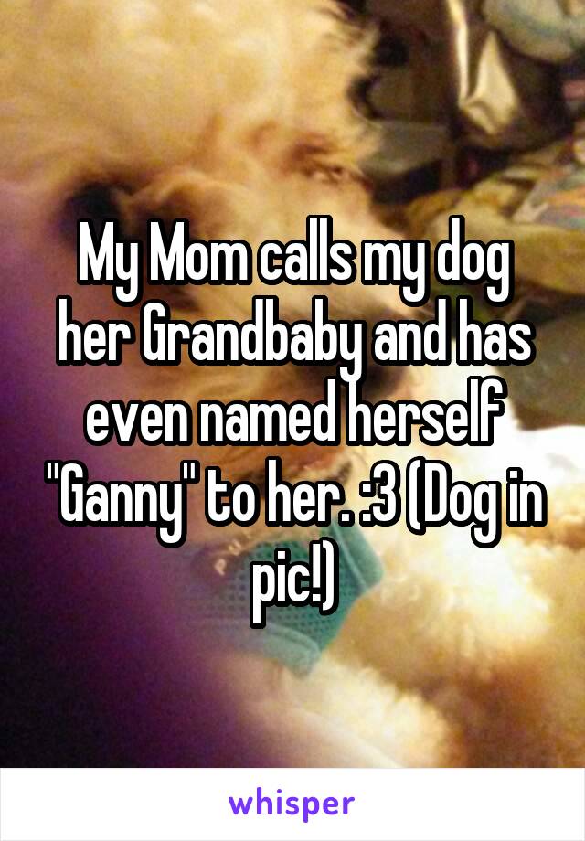 My Mom calls my dog her Grandbaby and has even named herself "Ganny" to her. :3 (Dog in pic!)