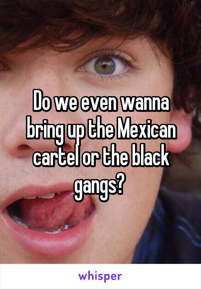 Do we even wanna bring up the Mexican cartel or the black gangs? 