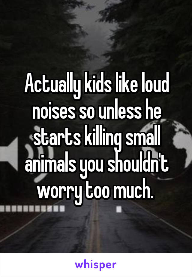 Actually kids like loud noises so unless he starts killing small animals you shouldn't worry too much. 