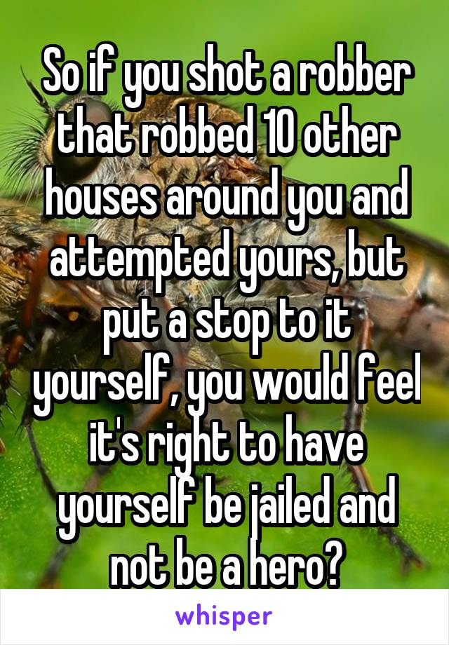 So if you shot a robber that robbed 10 other houses around you and attempted yours, but put a stop to it yourself, you would feel it's right to have yourself be jailed and not be a hero?