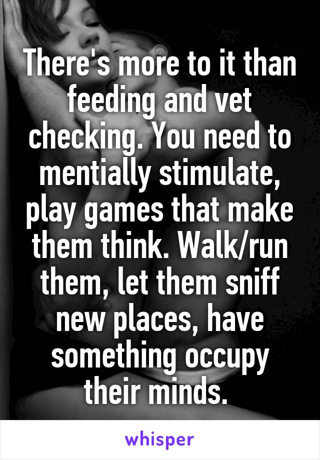 There's more to it than feeding and vet checking. You need to mentially stimulate, play games that make them think. Walk/run them, let them sniff new places, have something occupy their minds. 