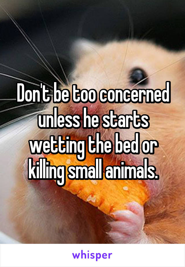 Don't be too concerned unless he starts wetting the bed or killing small animals.