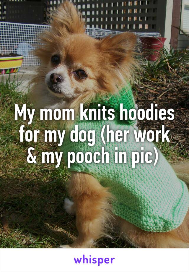 My mom knits hoodies for my dog (her work & my pooch in pic) 