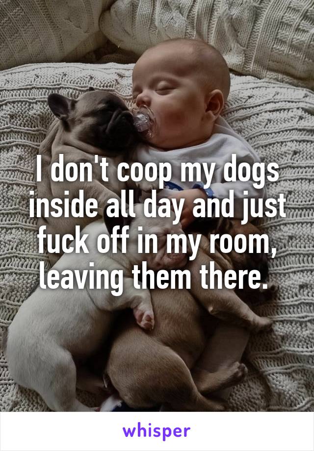 I don't coop my dogs inside all day and just fuck off in my room, leaving them there. 