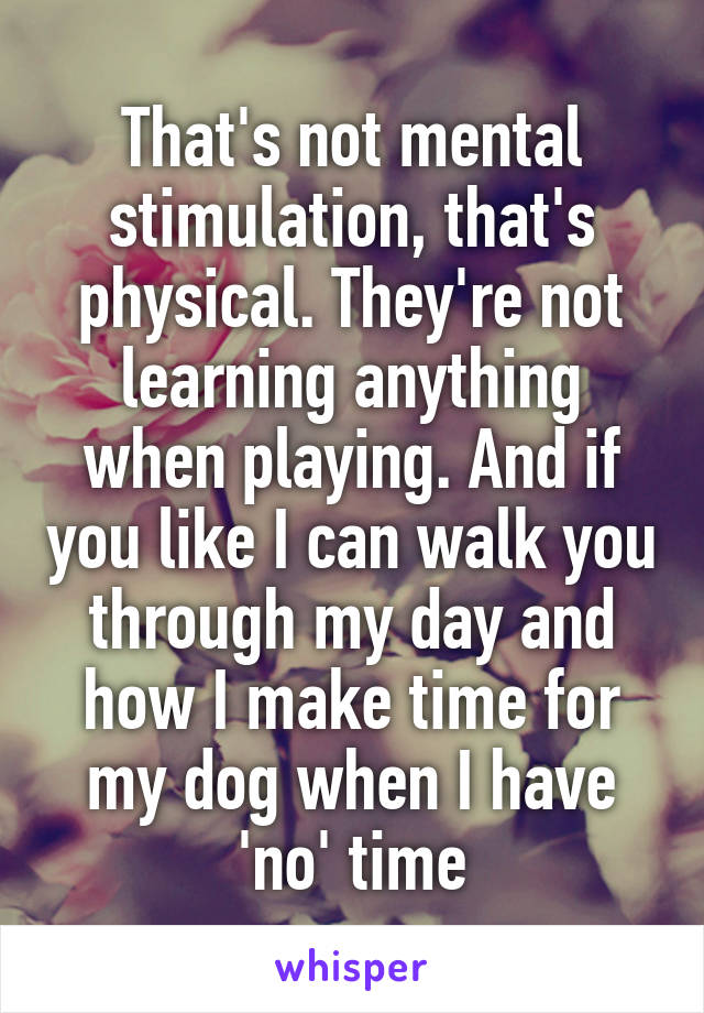 That's not mental stimulation, that's physical. They're not learning anything when playing. And if you like I can walk you through my day and how I make time for my dog when I have 'no' time