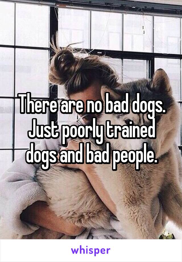 There are no bad dogs. Just poorly trained dogs and bad people.
