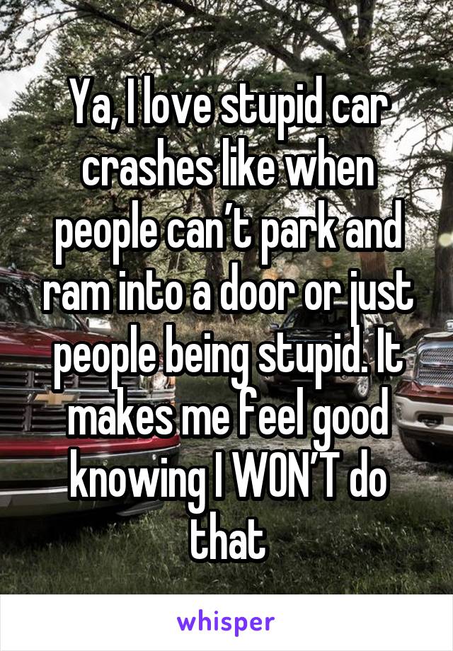 Ya, I love stupid car crashes like when people can’t park and ram into a door or just people being stupid. It makes me feel good knowing I WON’T do that